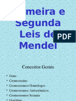 1 e 2 Lei de Mendel