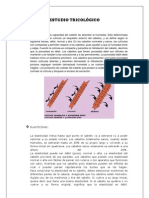 Tratamiento Capilar