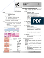 Female Genital Tract