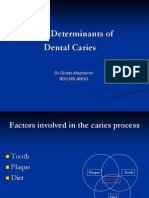 Btime Determinants of Dental Caries