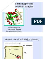 1 GTP-Binding Proteins As Molecular Switches Wittinghofer