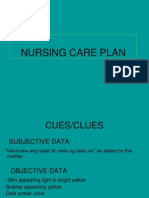 Nursing Care Plan