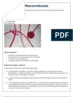 Mucormicosis, PENICILIOSIS