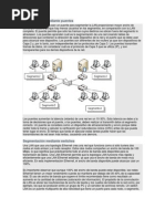 Segmentación Mediante Puentes