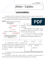 Bêta Oxydation