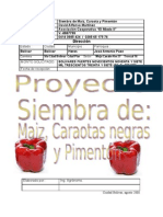 Proyecto de Siembra de Maiz