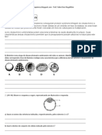 Questoes de Embriologia Sala BioQuimica