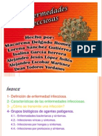 Las Enfermedades Infecciosas