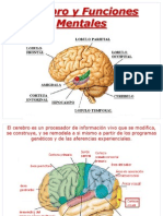 Cerebro y Funciones Mentales