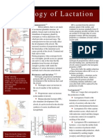 U9W6 - Physiology of Lactation