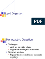 02 Digestion of Lipids