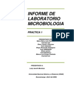 Informe Laboratorio No1