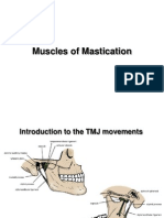 Muscles of Mastication