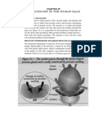 Glutathione in The Human Male: Prostate Problems