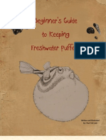 Beginner's Guide To Keeping Freshwater Puffers - Free Preview!