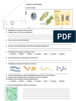 ESTUDO DIRIGIDO - Vírus Bactéria e Fungos