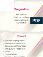 Pragmatics