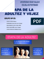 Psicologia Adultez