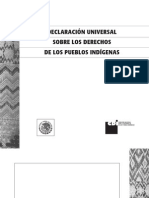 Declaracion Onu Pueblos Indigenas Nahuatl Huasteca