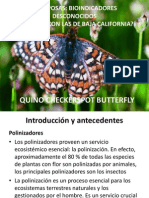 Mariposas Expo Power