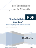 Productividad Por Objetivos