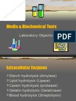 Media Biochemical Tests