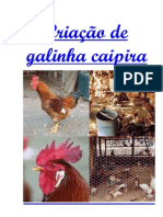 Criação Galinha Caipira - 01 Apostila