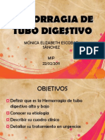 Hemorragia de Tubo Digestivo