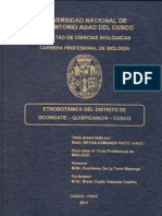 Tesis de Grado 2010 - Scribd