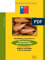 Documento Piñon