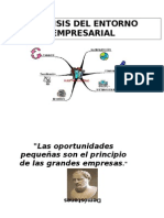 Analisis Entorno Empresarial