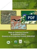 Cobertura Forestal 2010 y Dinamica 2006-2010