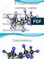 Carbohidratos Expo