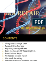 DNA Repair