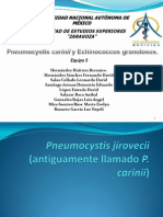 Pneumocystis Carinii y Echinococcus Granulosus