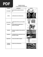 Terminos Usuales - Traumatologia y Rehabilitacion