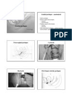 Genital Prolapse