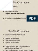 Subfilo Crustacea