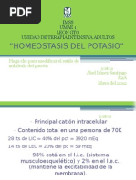 Homeostasis Del Potasio Auto Guard Ado)