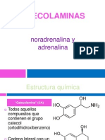 Catecolaminas