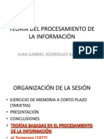 Teoria Del Procesamiento de La Información