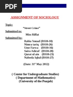 Assignment of Sociology: (Center For Undergraduate Studies) (Department of Mathematics) (University of The Punjab)