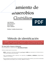 Aislamiento de Anaerobios Clostridium Versión Final