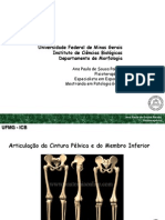 Articulação Da Cintura Pelvica e Do Membro Inferior