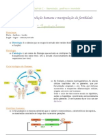 Biologia 12º Ano - Resumo - Reprodução Humana