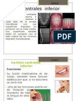 Trabajo de Anatomia