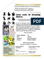 Tercera Seccion de Grooming Basico