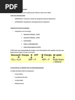 Diapositivas Contenido