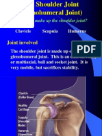 Shoulder Joint