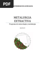 Metalurgia Extractiva